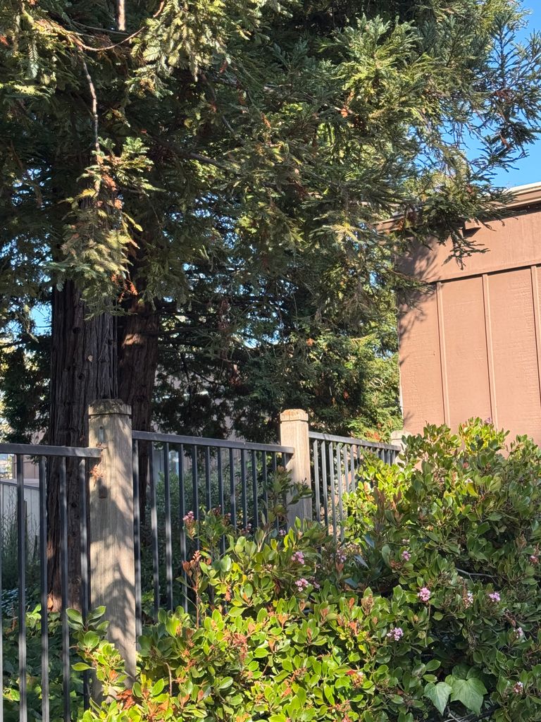 Chaparral House, Berkeley, CA 3