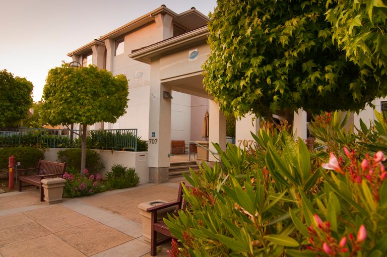 San Carlos Elms, San Carlos, CA 1