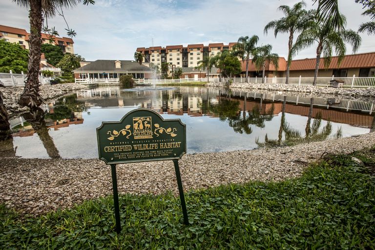 The Inn at Freedom Square, Seminole, FL 3
