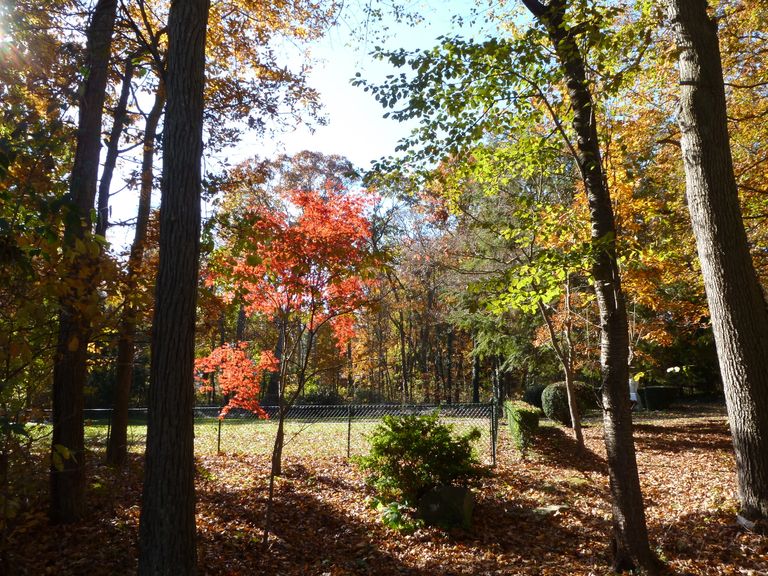 Missionary Sisters Of St. Benedict, Huntington, NY 1