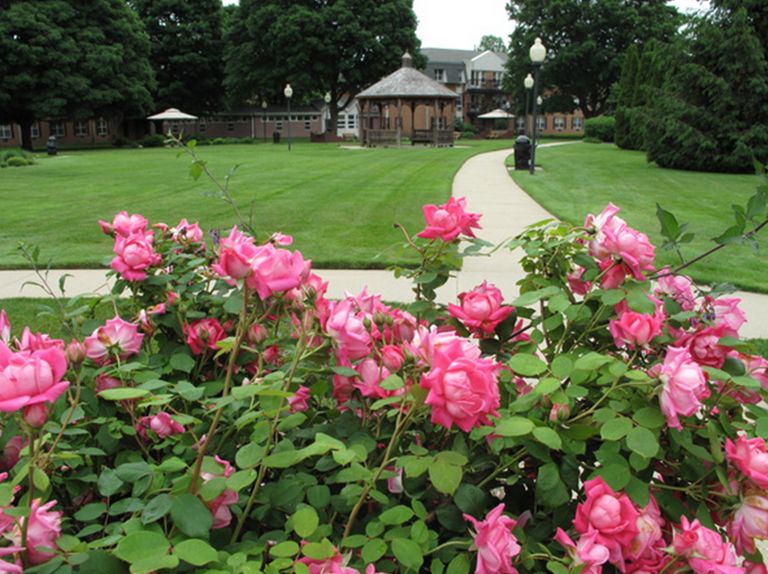 Dominican Village, Amityville, NY 3