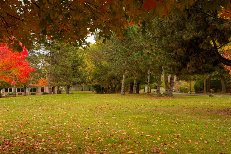 Lourdes Rehabilitation And Healthcare Center, Waterford, MI 2