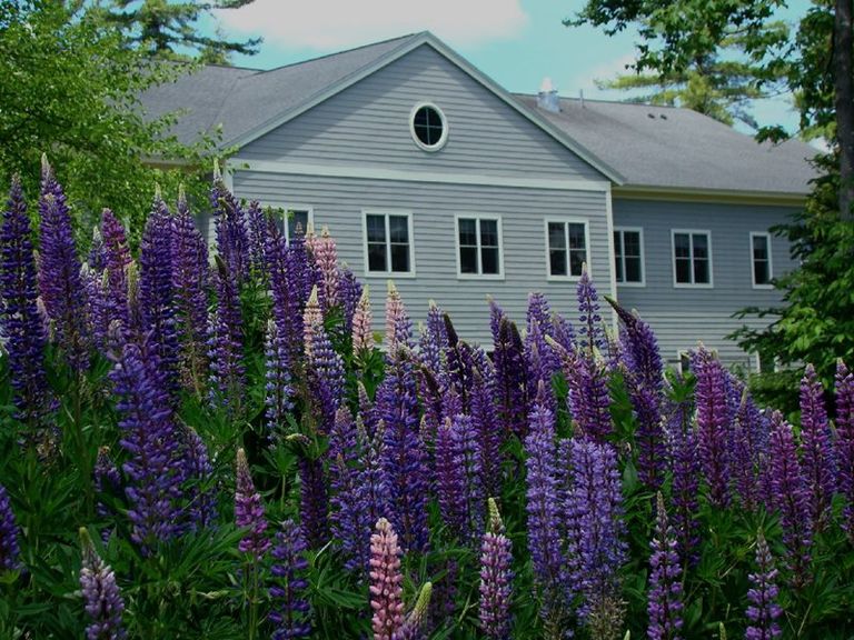 Dirigo Pines Inn, Orono, ME 3