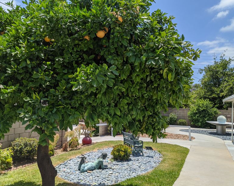 Bubbe & Zayde's Place IV, Santa Ana, CA 1