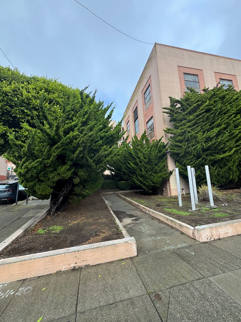 Cpmc Irene Swindells Alzheimer's Res. Care Program, San Francisco, CA 1