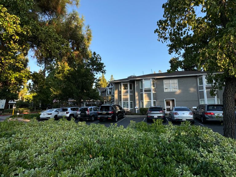 Ivy Park at Walnut Creek, Walnut Creek, CA 3