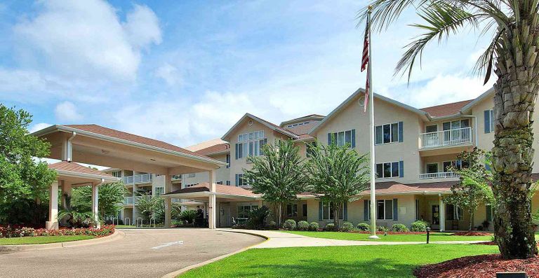 Cherry Laurel – Sky Active Living, Tallahassee, FL 1