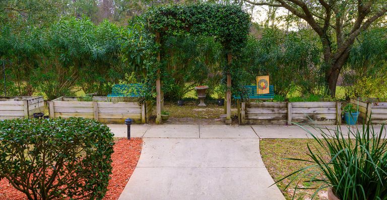 Cherry Laurel – Sky Active Living, Tallahassee, FL 2