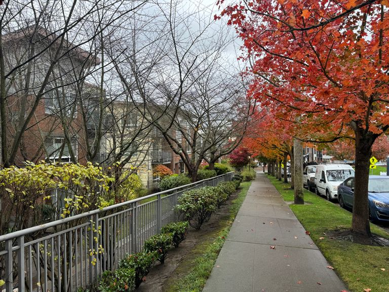 Cogir Of Queen Anne , Seattle, WA 3