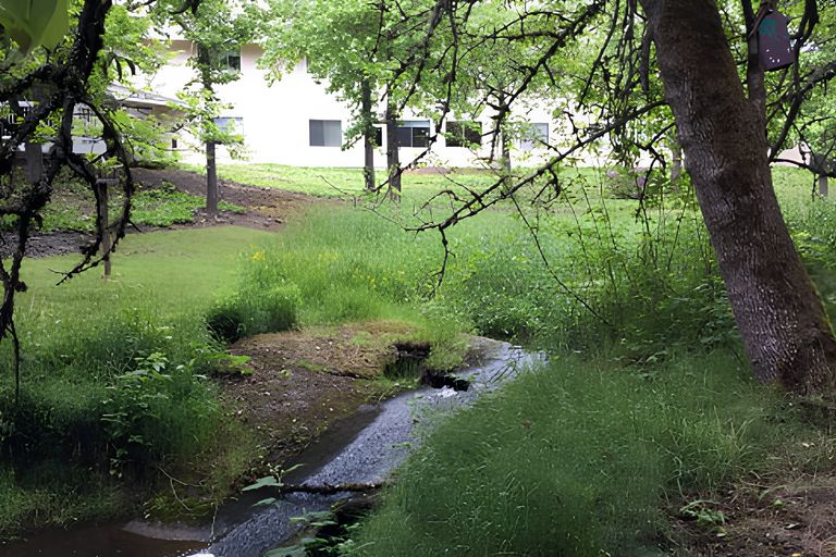 Avamere At Park Place, Tigard, OR 2