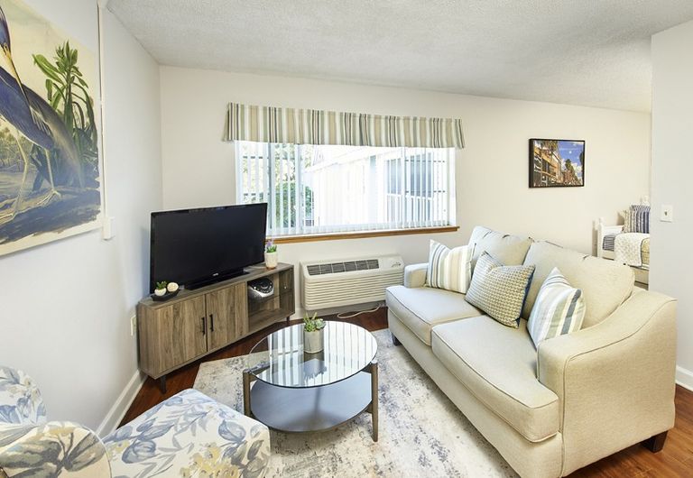 Aldea Green, Brandon, FL 3