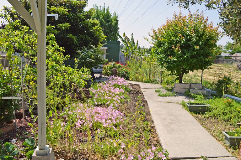 Nena & Ray's Guest Home Inc. #2, Vallejo, CA 2
