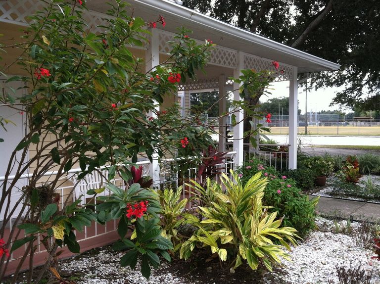 Bayou Gardens, Dunedin, FL 2