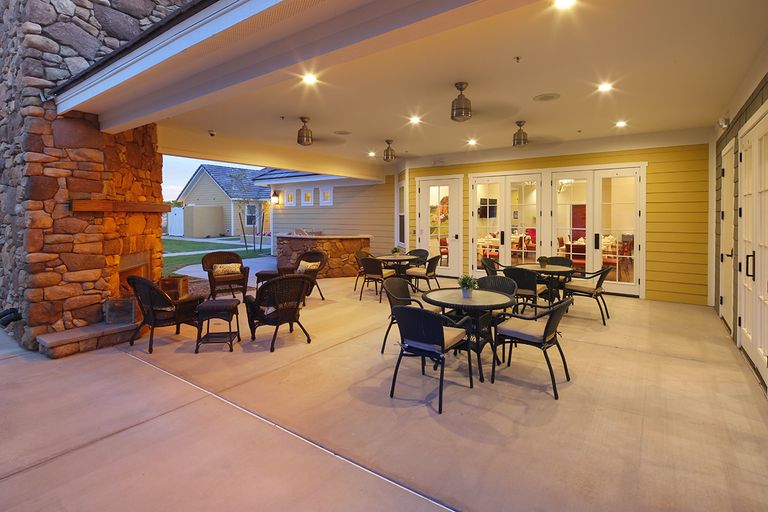 Pecan Care Concepts at American Orchards, Gilbert, AZ 2