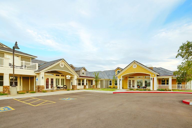 Pecan Care Concepts at American Orchards, Gilbert, AZ 1