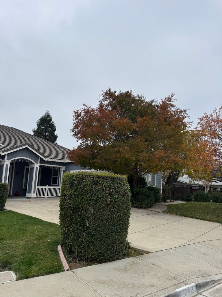 Abraham Rest Home (5132 Nathalee Drive), Concord, CA 2