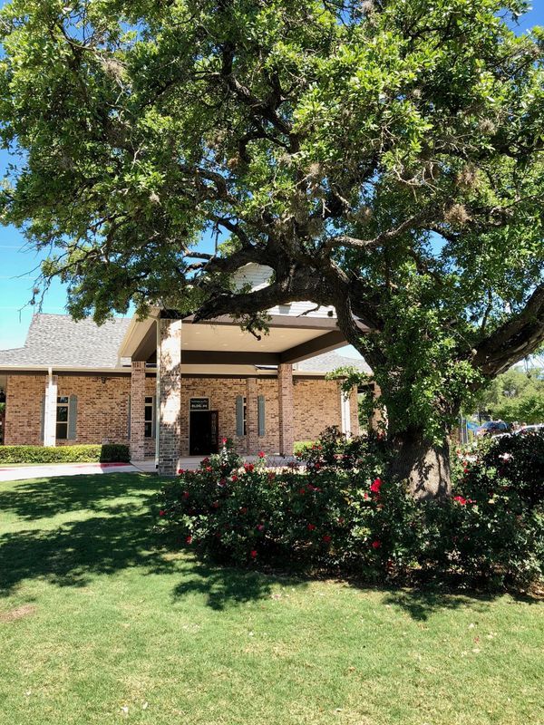 Changing Seasons on Blanco, San Antonio, TX 2