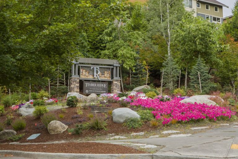 Timber Ridge at Talus, Issaquah, WA 2