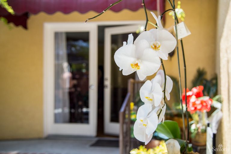 Better Living And Care, Los Angeles, CA 3