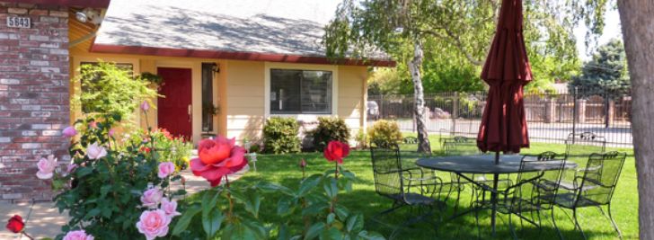 Front Yard