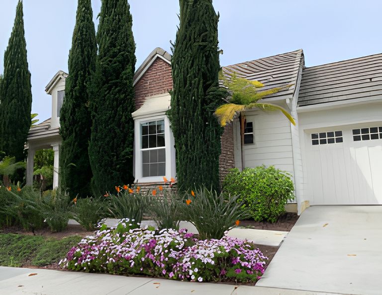 Carlsbad Comfort Care, Carlsbad, CA 2