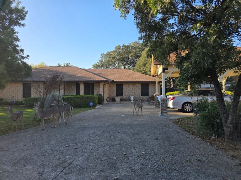 Mi Casa Es Su Casa, San Antonio, TX 1