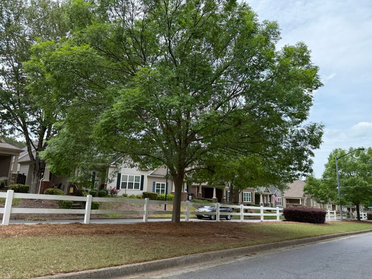 The Glens at Mountain Brook, Woodstock, GA 2