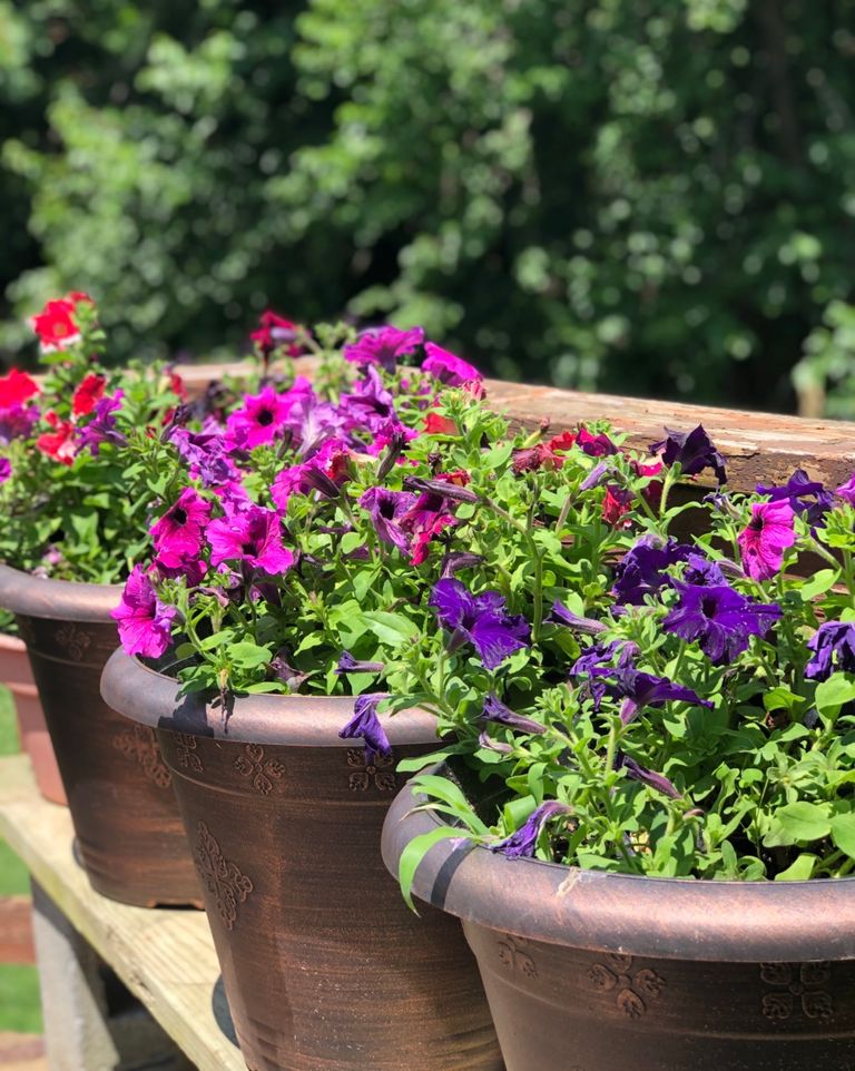 Pfefferkorn Assisted Living, West Friendship, MD 2