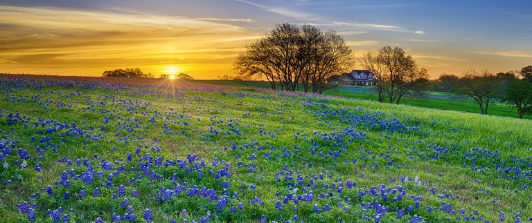 Canyon Creek Memory Care, Temple, TX 3