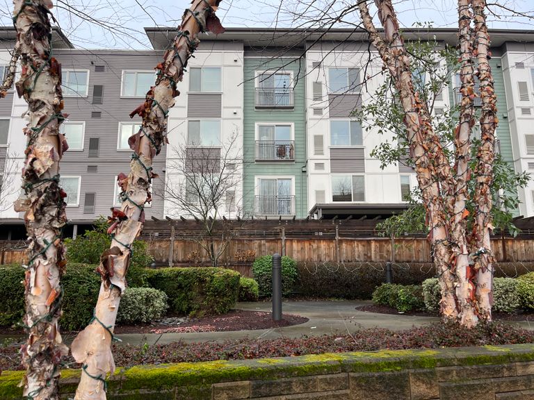 Merrill Gardens at Cedar Mill, Portland, OR 2