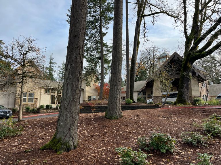 The Pearl At Kruse Way, Lake Oswego, OR 3