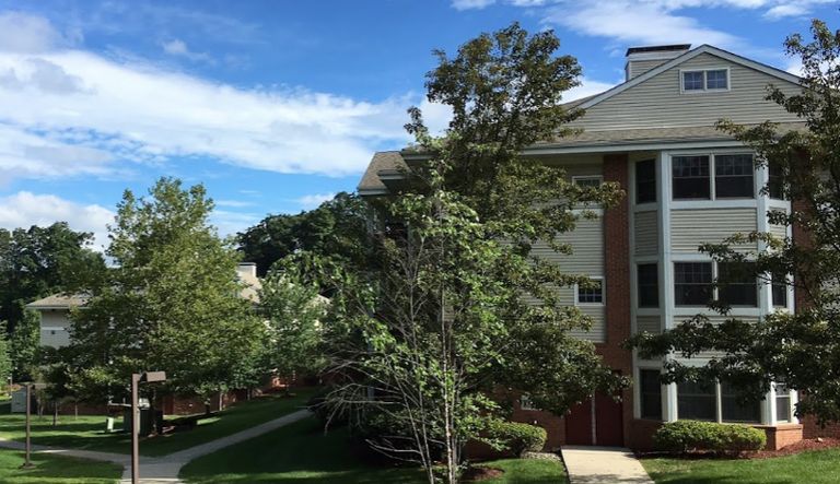 The Springs at Fountainview, Monsey, NY 1