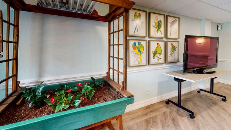 Ahava Senior Residences at Boca Raton, Boca Raton, GA 3