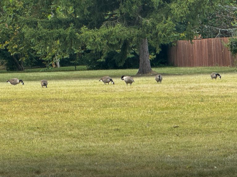 Centerville Health And Rehab, Dayton, OH 3