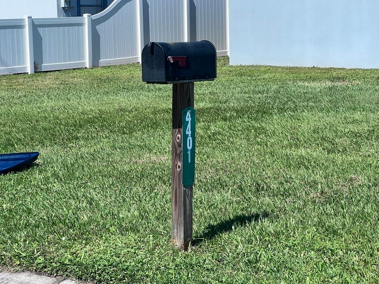 Consuelos Alf, Tampa, FL 2