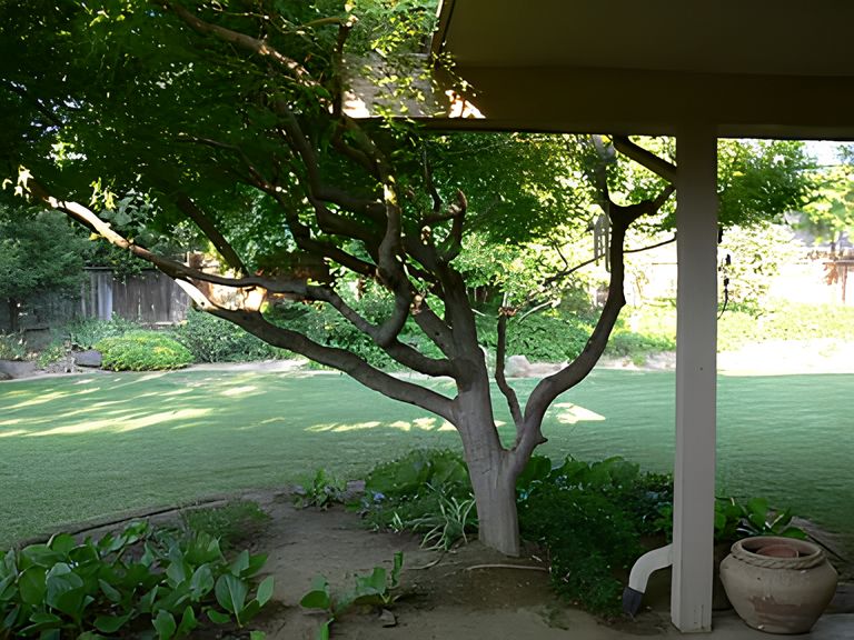 Nina's Home, Fresno, CA 3