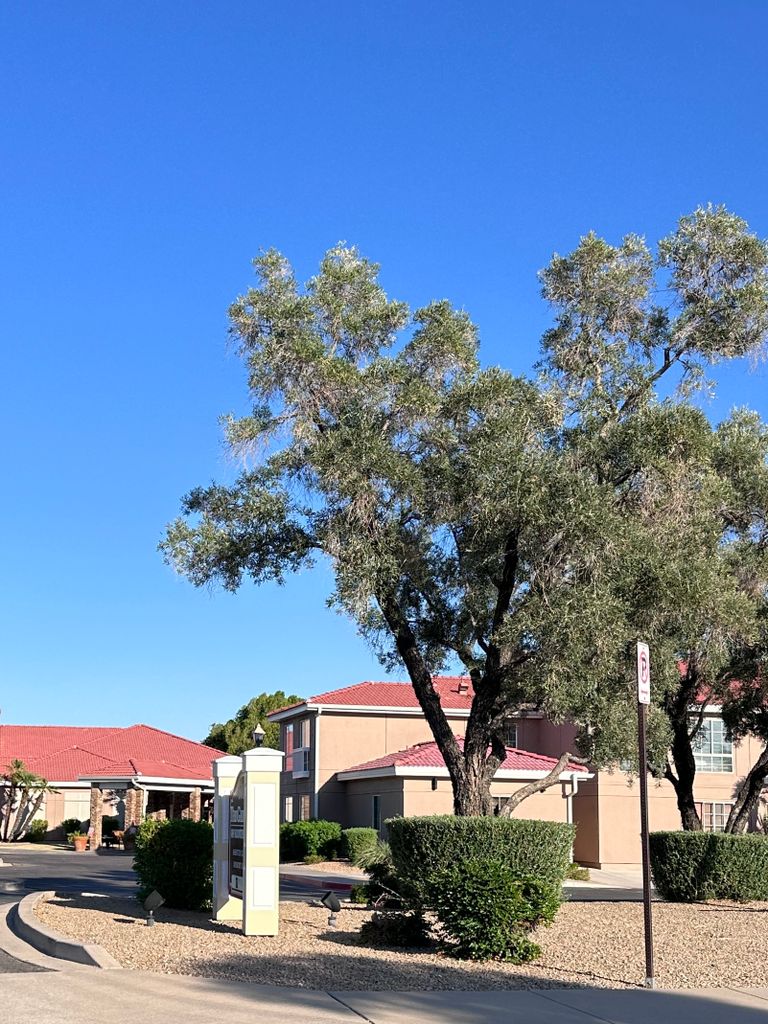 The Gardens of Scottsdale, Scottsdale, AZ 3