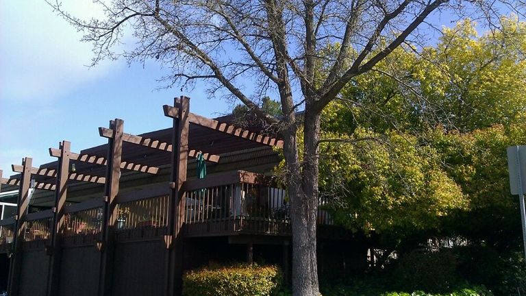 Orinda Care Center, Orinda, CA 3