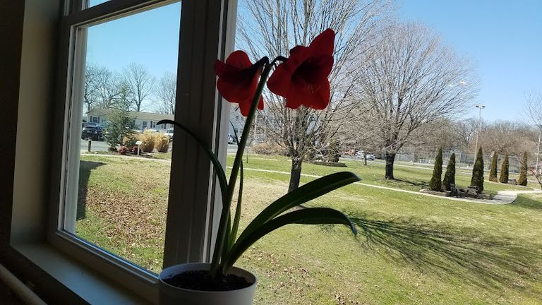Hillcrest Home, Harrison, AR 3