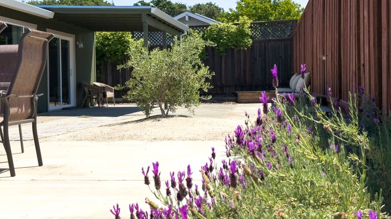 The Olive House LLC, NAPA, CA 2