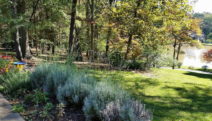 Carmel Hills, Charlotte, NC 1