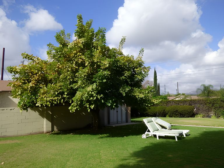 Mother Gertrude Home, San Fernando, CA 2