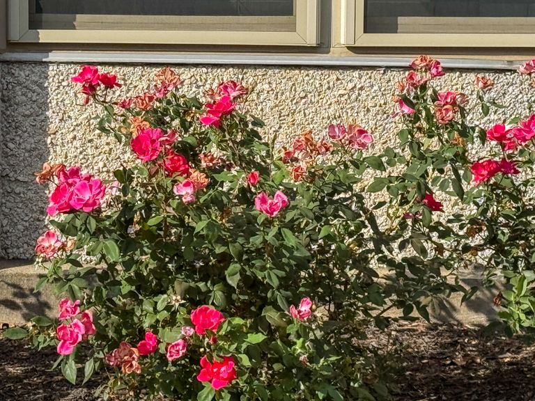 The Christian Village at Mt. Healthy, Cincinnati, OH 2