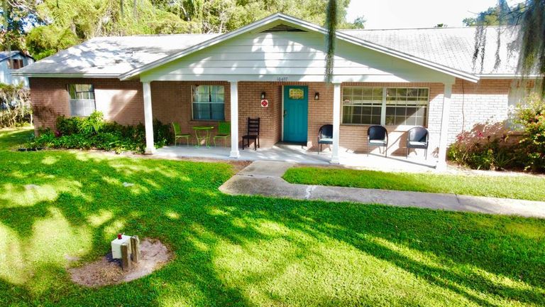 Pinecrest Place, Lithia, FL 2
