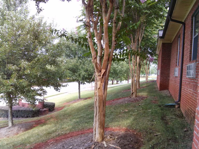 Highlands Senior Living South, Cartersville, GA 2