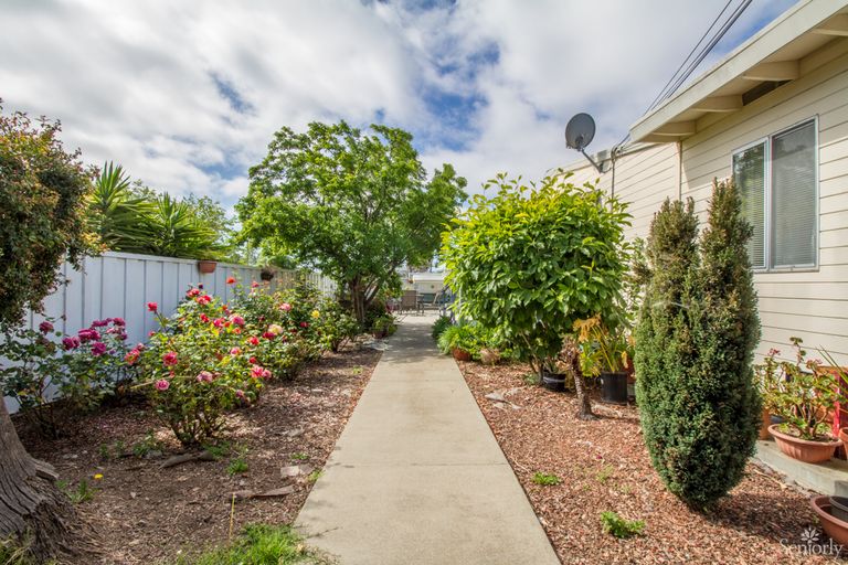 Tlc Home Care Royal, San Mateo, CA 3
