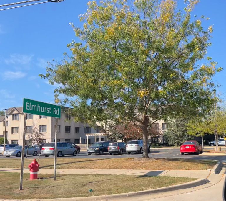 Bella Terra Wheeling, Wheeling, IL 1