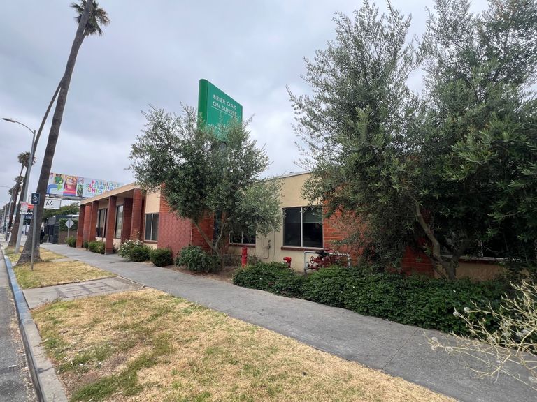 Brier Oak on Sunset, Los Angeles, CA 2