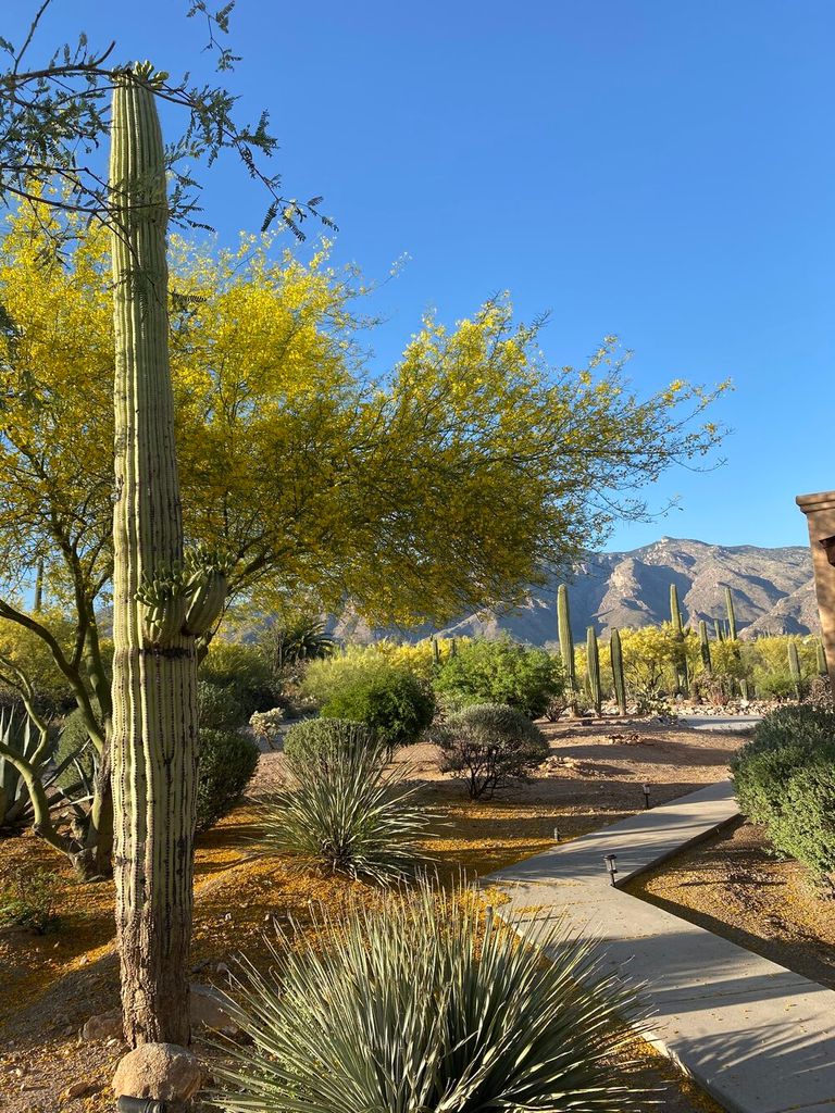 Skyline at Mina Vista Assisted Living, Tucson, AZ 1