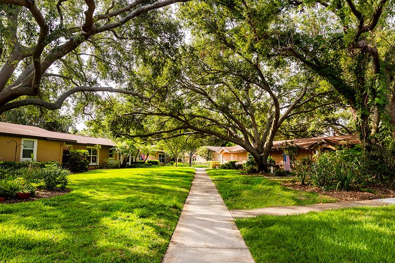 Westminster Suncoast, St. Petersburg, FL 2